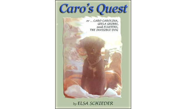 Caro's Quest - preteen novel - a ghost dog, a weird stranger, a hit and run, and Caro, who wants to solve who struck her classmate